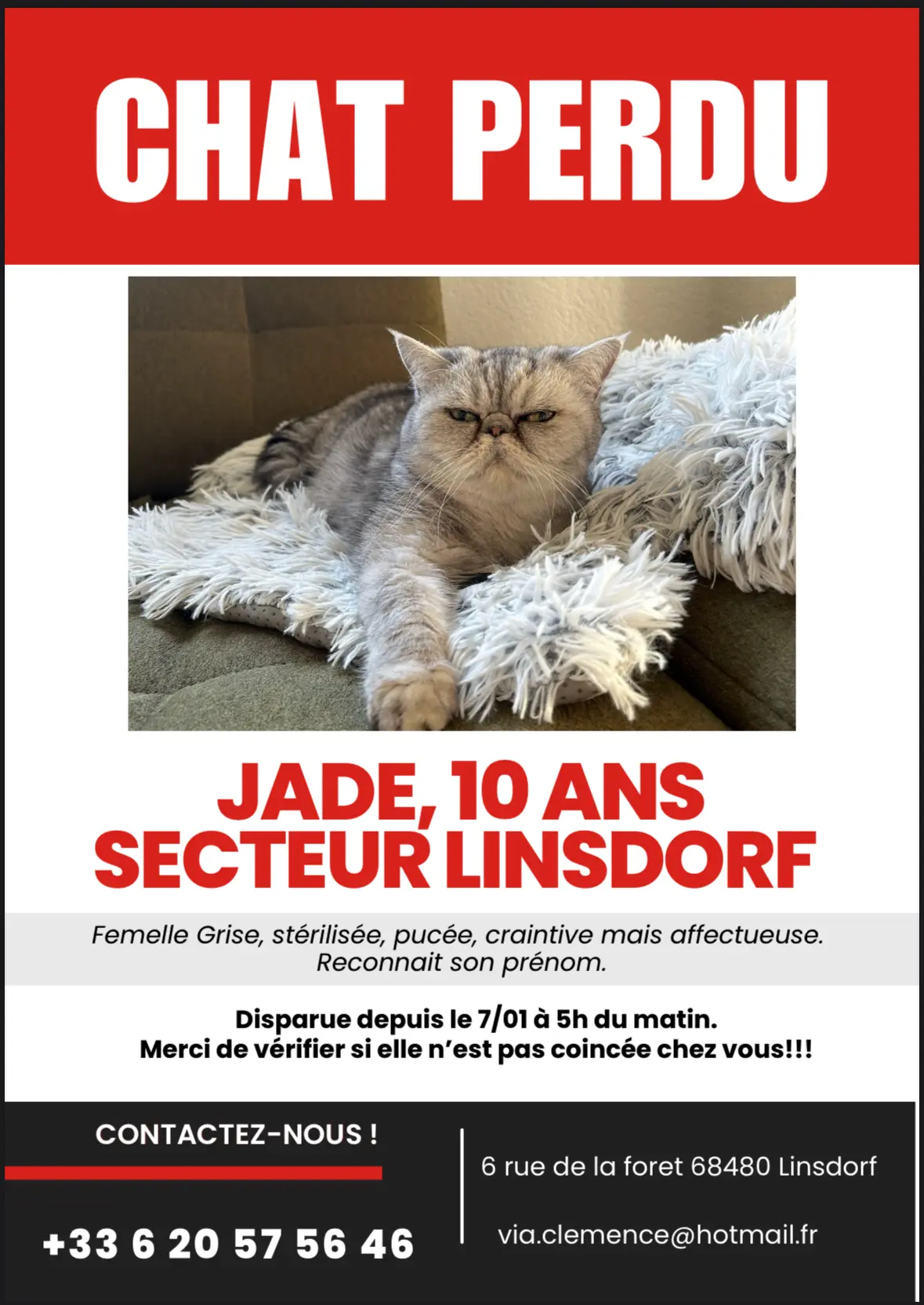 Chatte Perdue 68 Haut-Rhin - Jade