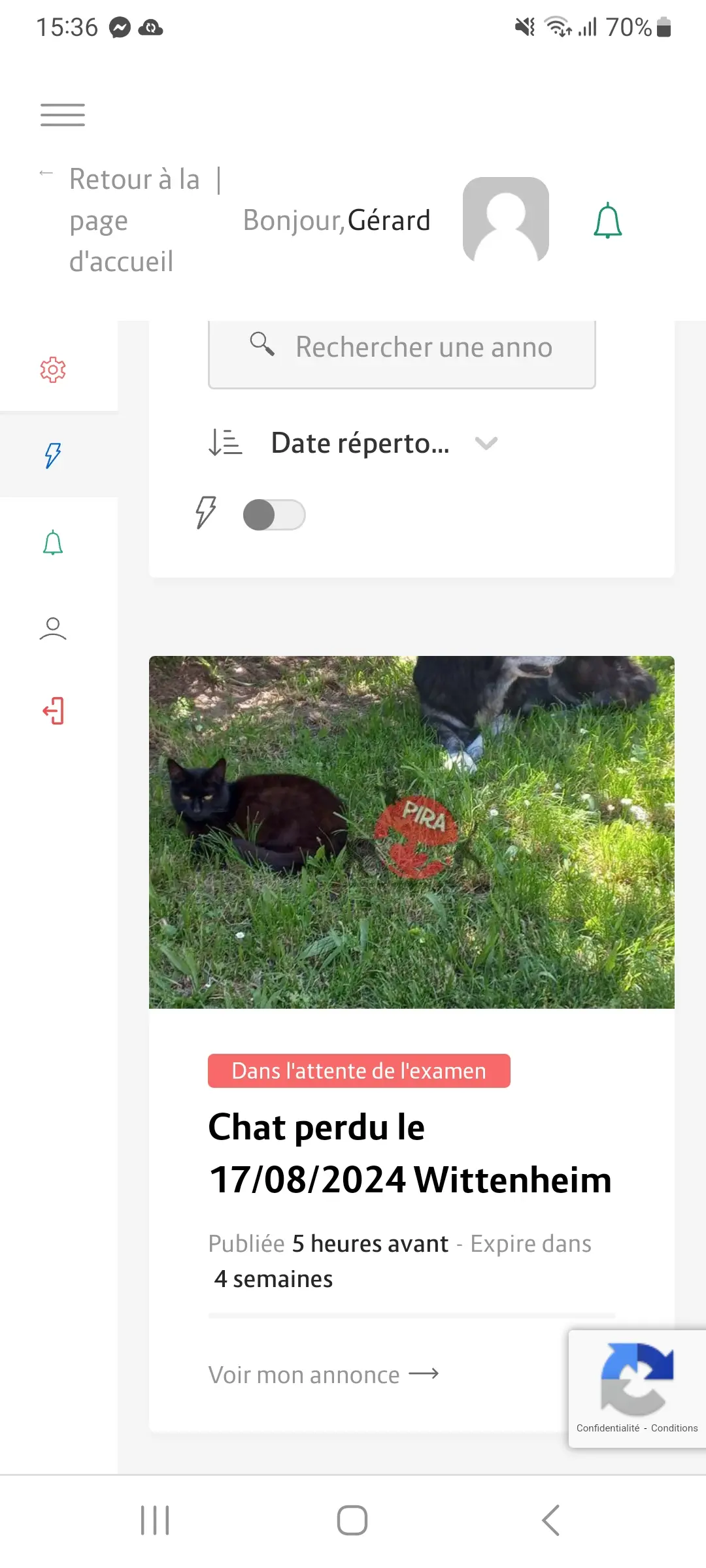 Chatte Perdue 68 Haut-Rhin - Maïko