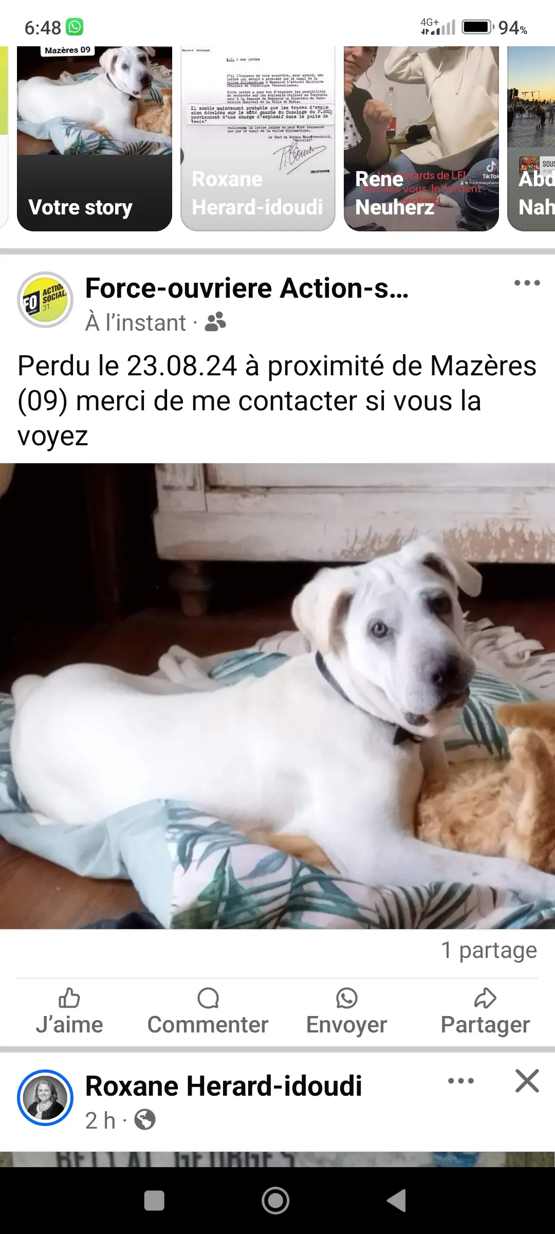 Chienne Perdue 11 Aude